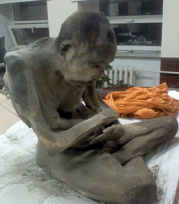 在蒙古发现的一具僧人干尸，身体仍保持莲花坐姿势。目视检查显示这具干尸拥有大约200年历史，僧人圆寂后使用兽皮包裹。