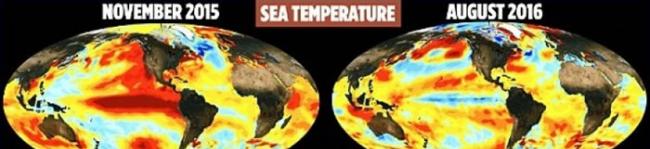 全球气温在厄尔尼诺结束后气温下降。