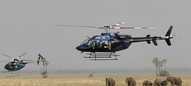 保护组织的直升机低空监视，防止有捕猎者接近。