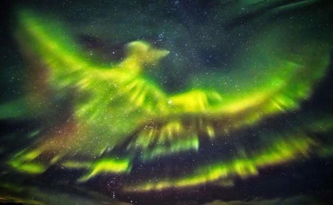 北极光化身火凤凰，非常美丽。