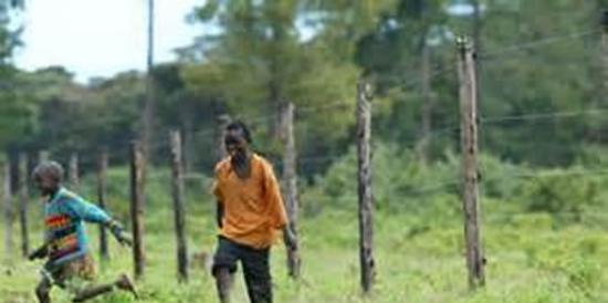 肯尼亚为野生动物建电围栏