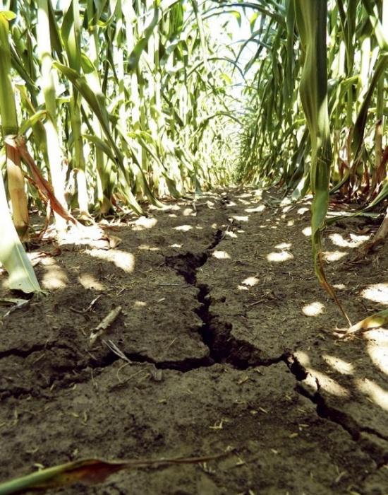 重大气候波动触发的干旱压力影响古代近东地区的许多农业定居点