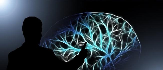 《神经元》杂志：阿尔茨海默氏病与脑组织中有疱疹病毒有关系