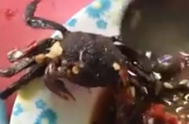 泰国一名网友正在享用沙拉时，盘里的螃蟹突然动了起来。