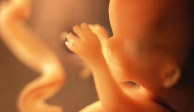 医学界重大发现：胎儿有“特殊”免疫系统 高危险妊娠可预防