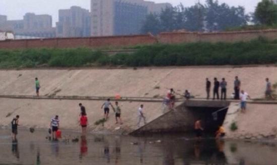 北京朝阳区通惠河双桥附近成群鲶鱼挤着浮出水面往岸上跳