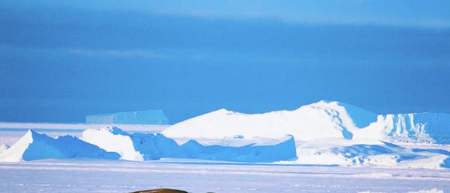 欧洲航天局：南极洲在2012年至2017年间损失了超过一万亿吨冰