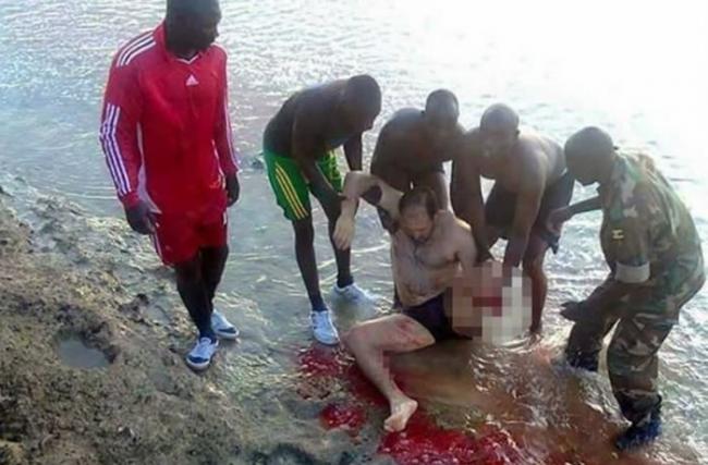 慎入：泳客在乌干达著名的维多利亚湖游泳时遭鳄鱼攻击左小腿被咬断