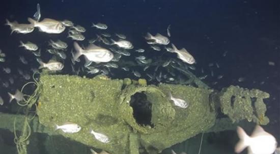 沉船残骸已成为鱼群的栖息处。