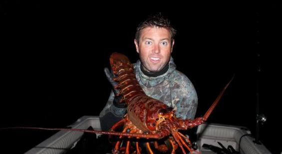美国徒潜生物学家在加州海岸捉到一只重达12磅的巨型龙虾