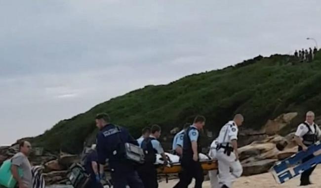 澳洲悉尼女子晚上海滩游泳时遭到大白鲨攻击严重受伤