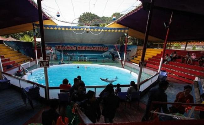 流动海豚马戏团表演场地。
