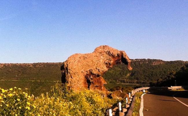 撒丁岛一条路边有一块形似大象的怪石。