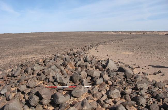 考古学家在西撒哈拉沙漠发现未知文明的痕迹