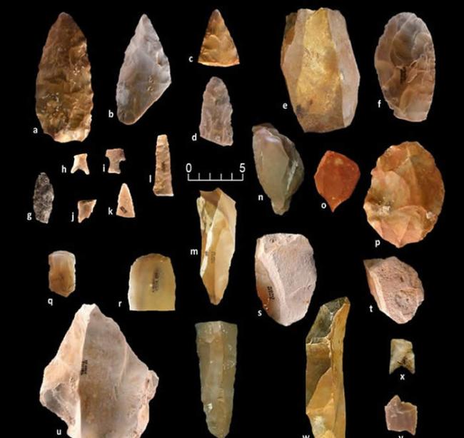 美国德克萨斯州发现的石器工具表明大约2万年前就有古人类在北美定居