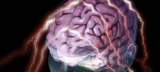 研究指出人类5项主要的性格特质可能与大脑形状、结构息息相关