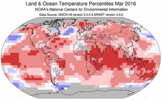根据国家海洋及大气总署的资料显示，深红色格地区为最暖，深蓝色格为最冷。