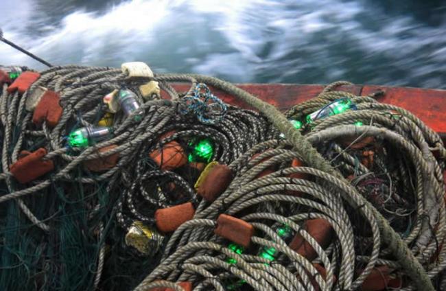 在秘鲁外海进行的研究共用了114张渔网，渔网上每隔10公尺就有一盏LED灯。 PHOTOGRAPH BY PRODELPHINUS