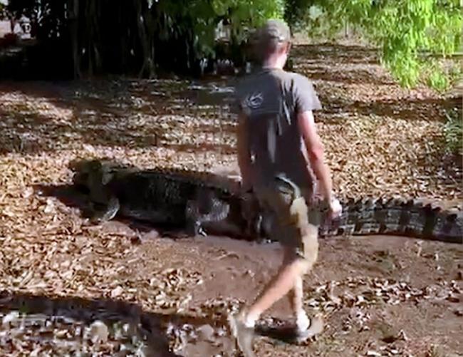 丹麦男子在澳大利亚野生公园骑五米长鳄鱼