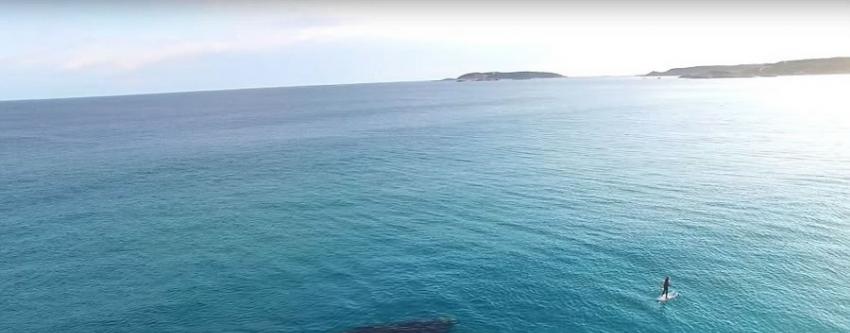 澳大利亚海域两头鲸鱼相伴接近冲浪者