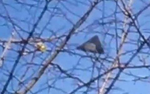 神秘“玉米片飞碟”5年内4次出现在英国约克郡森林区上空