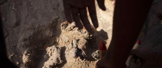 智利中学生在一堆狗粪下发现7千年历史木乃伊