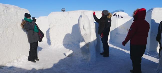 加拿大马尼托巴省建成全球最大面积雪地迷宫 破吉尼斯世界纪录