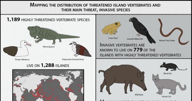 绘制受到威胁的岛上脊椎动物及其主要威胁――入侵物种的分布图