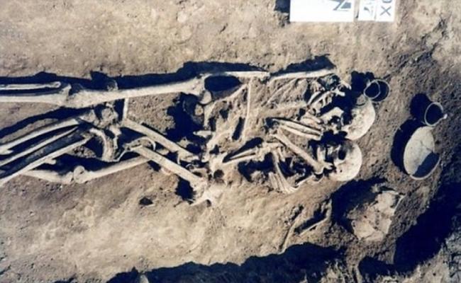 乌克兰村落3千年历史古墓中发现女子自愿喝下毒药陪伴离世丈夫