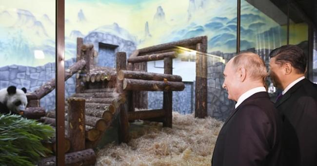 中俄领导人访莫斯科动物园为熊猫馆揭幕