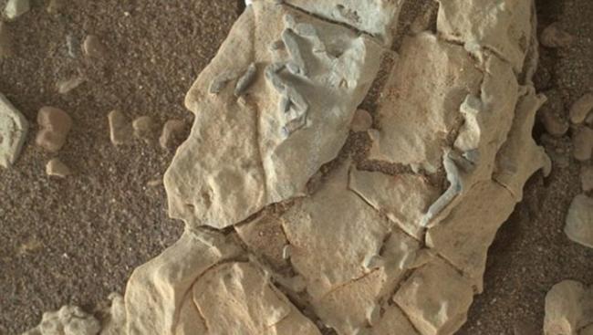 白金汉大学研究员Barry DiGregorio称在火星上发现外星人脚印化石的线索