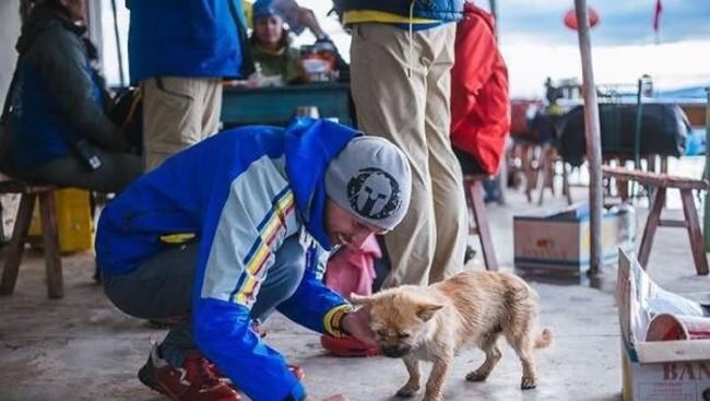 英国马拉松选手在中国戈壁沙漠进行比赛遇到流浪狗陪伴 比赛结束要带回家