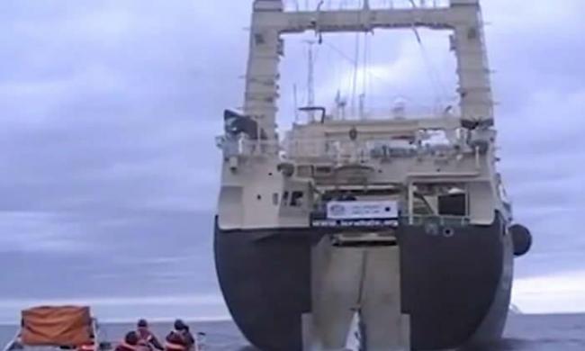 怕日本生气 澳洲拍摄的渔民在南冰洋血腥捕鲸影片被删除