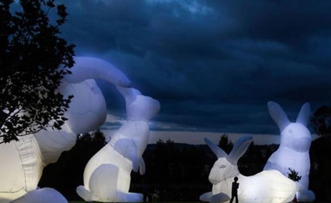 澳洲艺术家创作的艺术品《入侵》（Intrude）揭示野兔对自然环境的影响