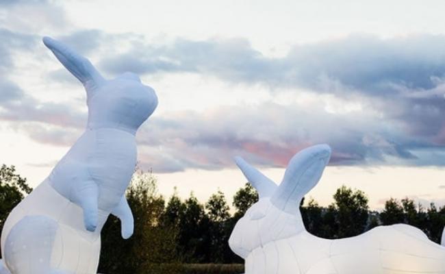 澳洲艺术家创作的艺术品《入侵》（Intrude）揭示野兔对自然环境的影响