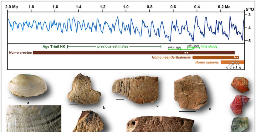 印度尼西亚50万年前的贝壳化石上发现人类最早的雕刻证据