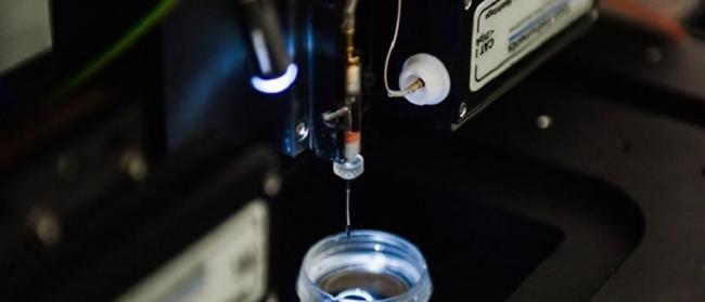 Scientific Reports：俄罗斯科学家研制出可分析化疗效果的纳米电极