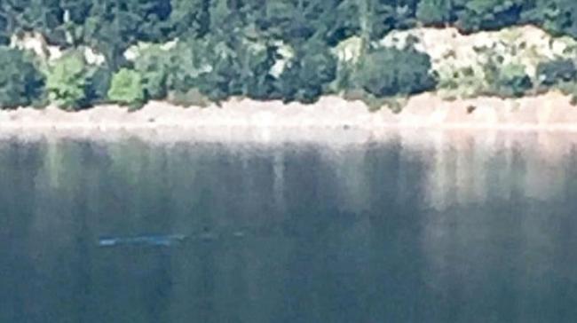 尼斯湖水怪再度现身？游客湖边享用午餐时发现水面出现神秘涟漪