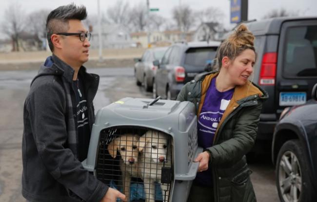 获救狗狗在纽约机场附近转车送往收容中心。