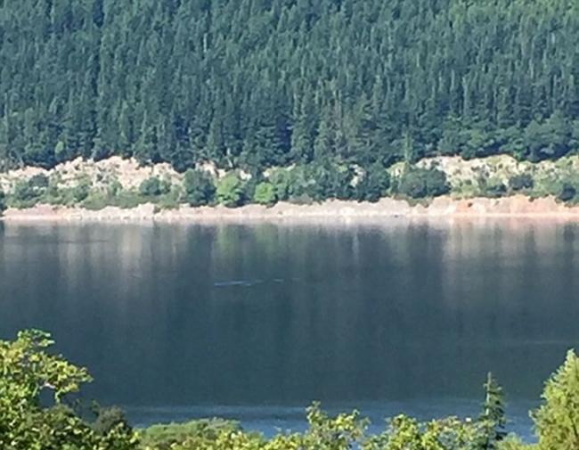 尼斯湖水怪再度现身？游客湖边享用午餐时发现水面出现神秘涟漪