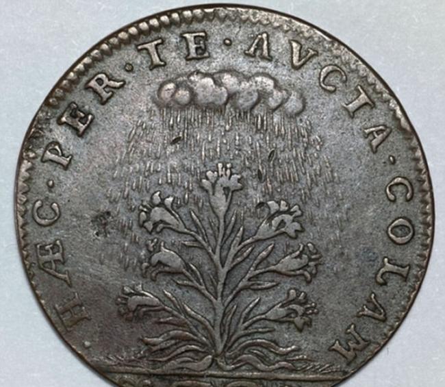 这个代币上所描述物体到底是目前尚不得知，代币的另一面是被雨淋的花状植物。
