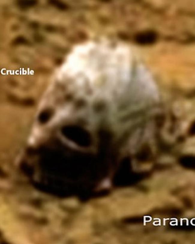 “外星人猎人”声称在好奇号火星图像中发现“大脚野人头骨”