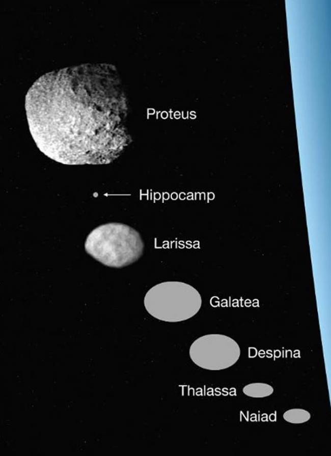 海王星最小卫星“马头鱼尾怪”是海卫八被彗星撞出的碎片