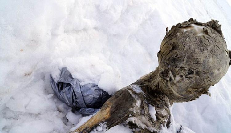 尸体全身被埋在雪里，只露出头部和左手。