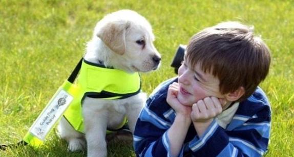 美国密苏里大学兽医学院研究发现养宠物有助改善自闭症儿童的社交技巧