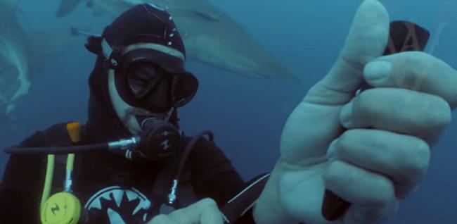 美国保育分子为证明鲨鱼对人类没有太大兴趣 亲身水中割手流血测试