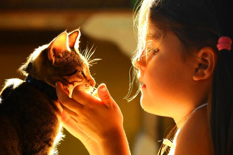 美国密苏里大学兽医学院研究发现养宠物有助改善自闭症儿童的社交技巧