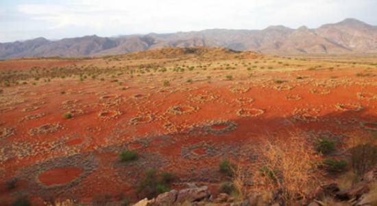 从安哥拉到纳米比亚再到南非北部的一个狭长的沙漠地带，散布着数以千计的圆圈
