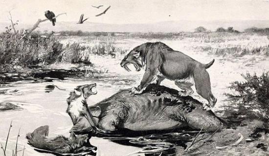 人类最希望复活的灭绝物种：剑齿虎与恐狼