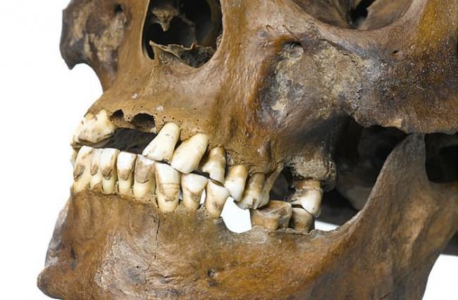 英国泰晤士河河床发掘出一具15世纪的男性骸骨 首次发现中世纪长靴